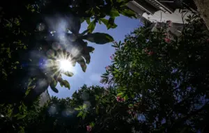 Καιρός: Ανοιξιάτικο σκηνικό για τις επόμενες 10 ημέρες – Τι λέει ο Θοδωρής Κολυδάς