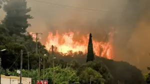 Φωτιά τώρα στην Καλαμάτα – Επιχειρούν ισχυρές πυροσβεστικές δυνάμεις