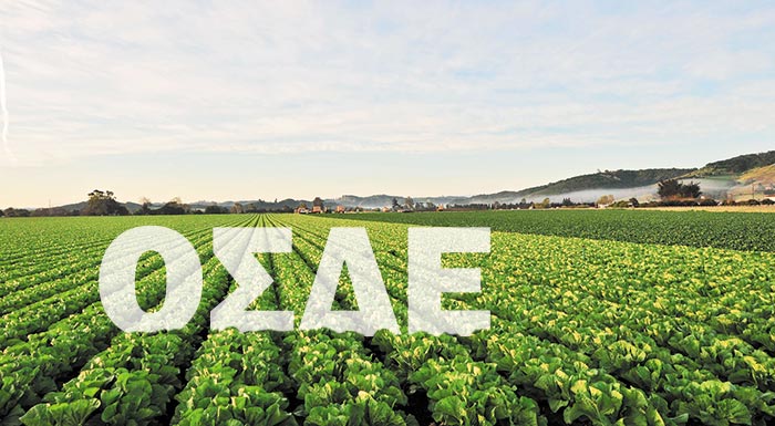 Προσοχή στις «παγίδες» του ΟΣΔΕ 2025: Τι αλλάζει σε καλλιέργειες, σταφίδα και παραστατικά