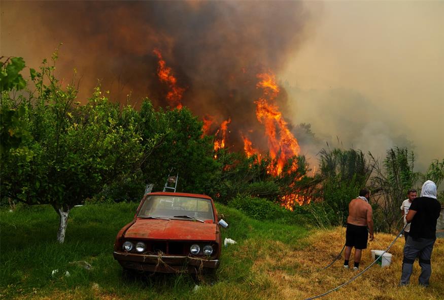 Φωτιά τώρα στην Εύβοια – Έπιασε στην περιοχή Μαούνη