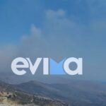 Μεγάλη φωτιά τώρα με ισχυρούς ανέμους 8 μποφόρ