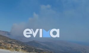 Μεγάλη φωτιά τώρα με ισχυρούς ανέμους 8 μποφόρ