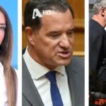 Σταματίνα Τσιμτσιλή: Σκληρή απάντηση στον Άδωνι Γεωργιάδη για την παρατήρηση στην Ελεωνόρα Ζουγανέλη