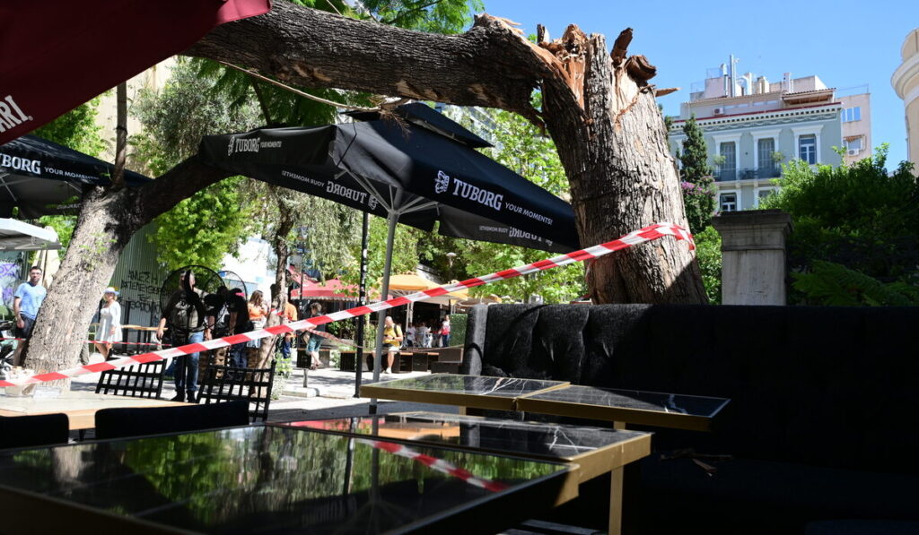 Βοριάδες σάρωσαν την Αθήνα: Δέντρα έπεσαν σε Αγίας Ειρήνης, Υμηττό και Νέα Ιωνία με τραυματίες και ζημιές