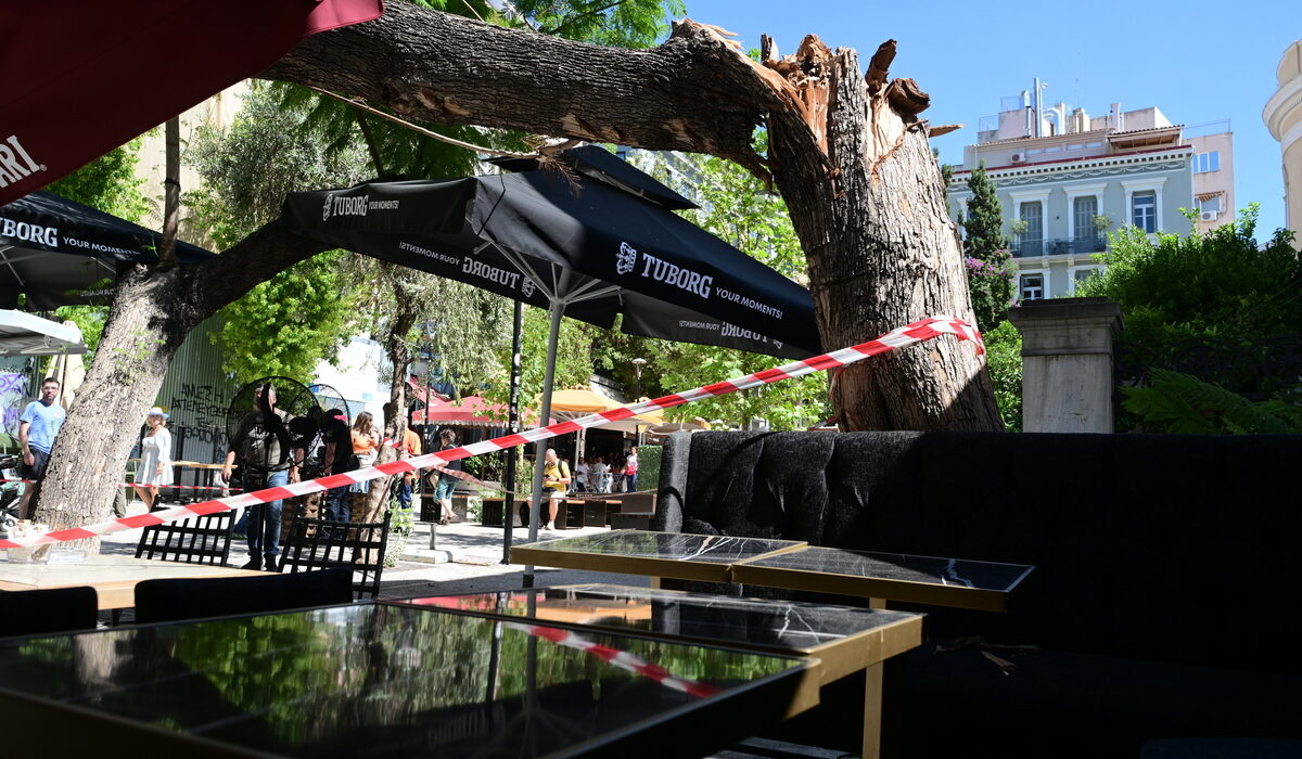Βοριάδες σάρωσαν την Αθήνα: Δέντρα έπεσαν σε Αγίας Ειρήνης, Υμηττό και Νέα Ιωνία με τραυματίες και ζημιές