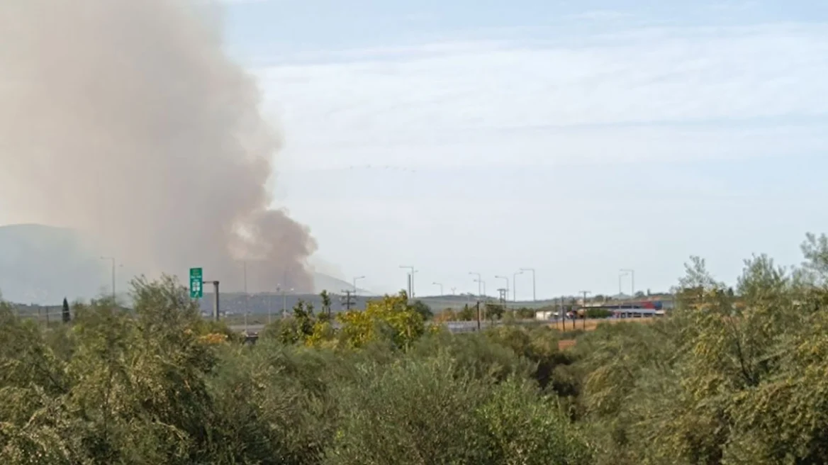 Εκκενώνονται οι οικισμοί Μερτίδι και Λάκκα - Μεγάλη φωτιά στο Άλσος Αχαΐας