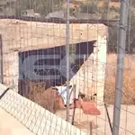 Σοκαριστική υπόθεση: Το σημείο που είχε θάψει τη μητέρα της η 62χρονη στη Βοιωτία