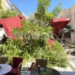 Δέντρο τραυματίζει μητέρα και άνδρα – «Νομίζαμε ότι πέθανε»
