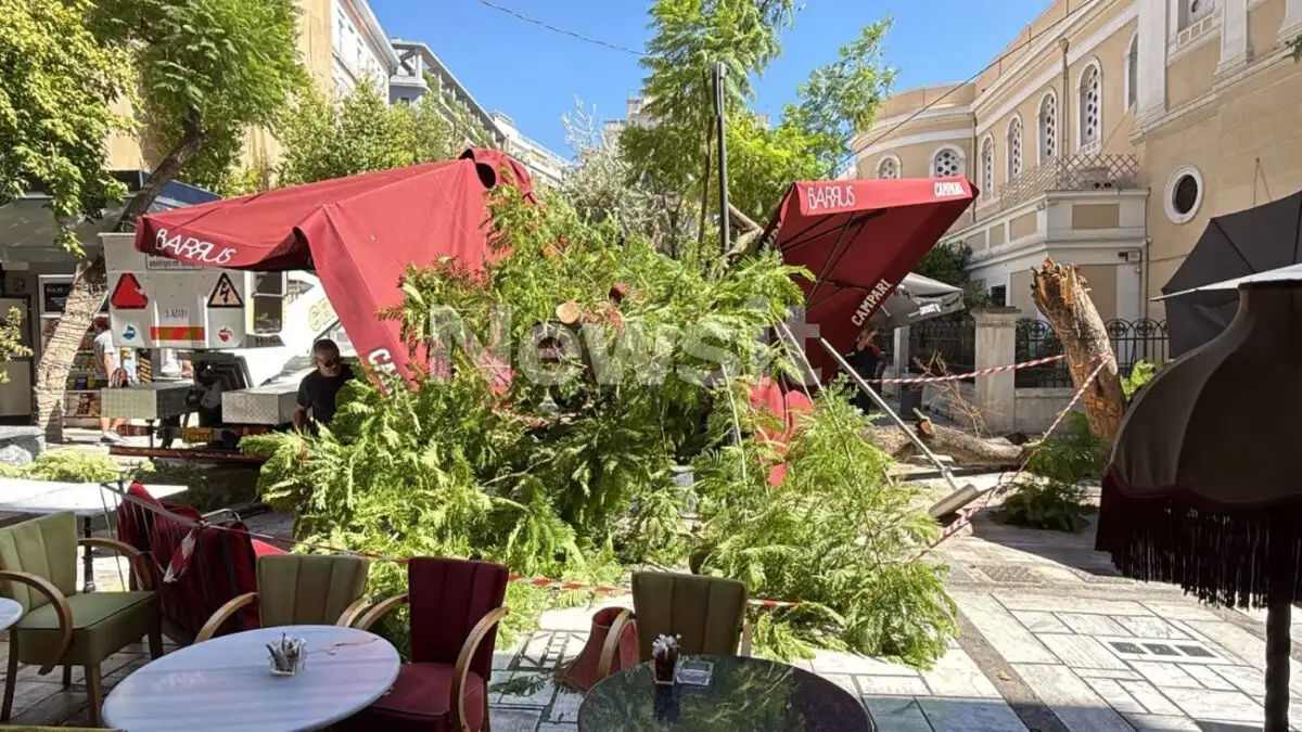 Δέντρο τραυματίζει μητέρα και άνδρα – «Νομίζαμε ότι πέθανε»
