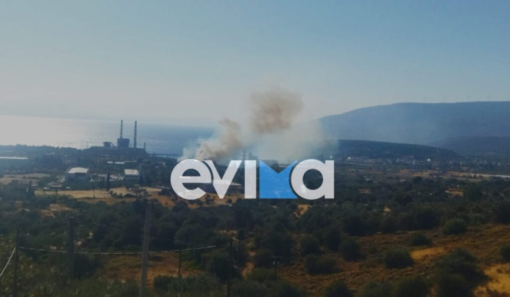 Φωτιά τώρα στο Αλιβέρι της Εύβοιας – Συναγερμός στο εργοστάσιο της ΔΕΗ