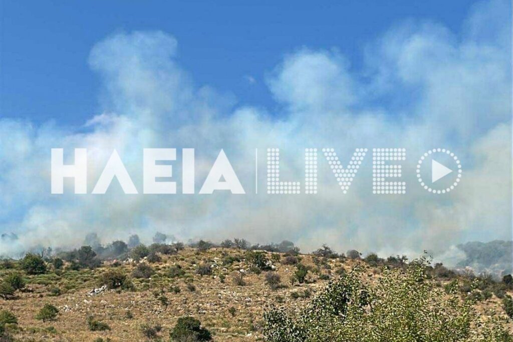 Φωτιά τώρα στην Ηλεία – Μεγάλη πυροσβεστική επιχείρηση
