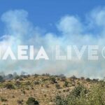 Φωτιά τώρα στην Ηλεία – Μεγάλη πυροσβεστική επιχείρηση