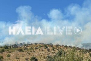Φωτιά τώρα στην Ηλεία – Μεγάλη πυροσβεστική επιχείρηση