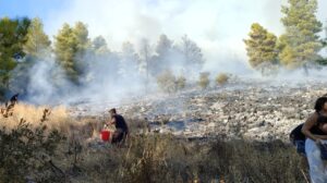 Φωτιά τώρα στη Μαγνησία – Σηκώθηκαν εναέρια μέσα