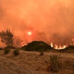Σχεδόν 500.000 στρέμματα κάηκαν από τις φωτιές μέσα στο 2025