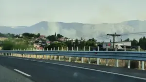 Φωτιά στα Οινόφυτα – Σε εξέλιξη η επιχείρηση της Πυροσβεστικής