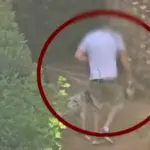 Σοκ στην Πεύκη: άνδρας φέρεται να εκπαίδευε κυνηγόσκυλα σκοτώνοντας γατάκια σε πάρκο