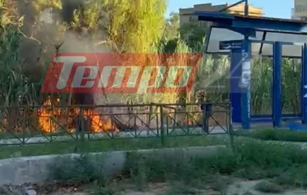 Συναγερμός στον Προαστιακό Πάτρας: Σύλληψη υπόπτου για φωτιά σε καλαμιές
