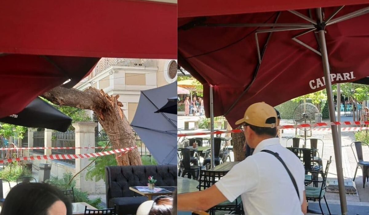 Πτώση δέντρου στην καρδιά της Αθήνας με δύο τραυματίες