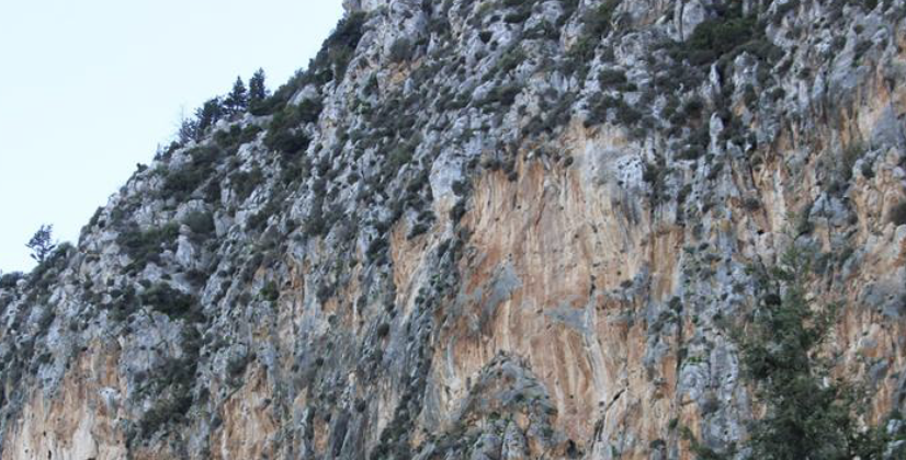 Τραγωδία: Λεωφορείο έπεσε σε γκρεμό 300 μέτρων – 16 νεκροί και δεκάδες τραυματίες