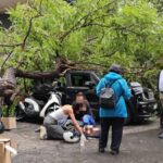 Συναγερμός με πτώση δέντρου στο κέντρο της Αθήνας