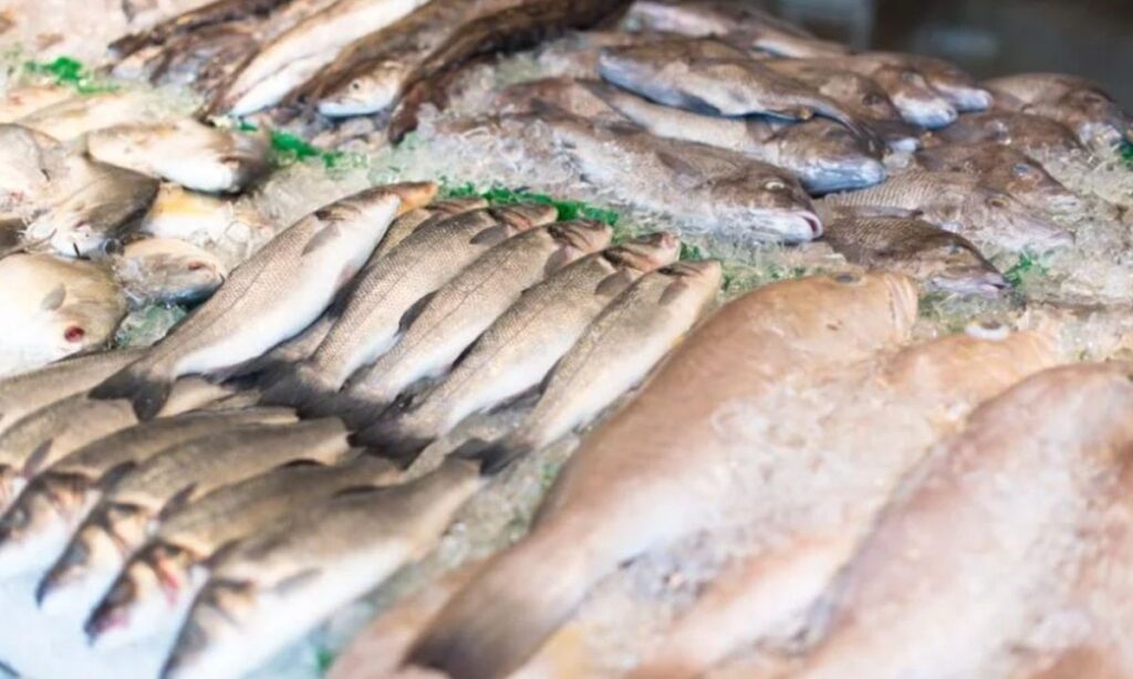 Μη φάτε ξανά αυτό το ψάρι – Οδηγία από την ΕΕ να μην καταναλώνετε