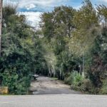 Φοινικούντα: Ποια στοιχεία οδηγούν στο τέλος του θρίλερ