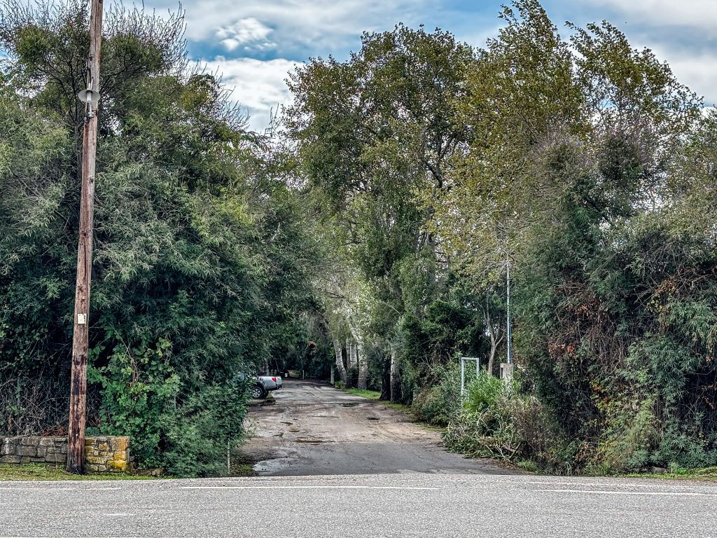 Φοινικούντα: Ποια στοιχεία οδηγούν στο τέλος του θρίλερ