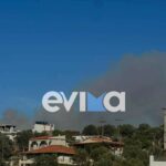 Φωτιά τώρα στην Εύβοια – Δίπλα στα σπίτια οι φλόγες