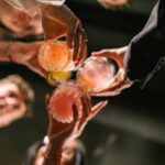 Συναγερμός για την κατανάλωση αλκοόλ από ανηλίκους – Μαθητές πίνουν σε σχολικές εκδηλώσεις και κλαμπ