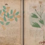 Το μυστήριο του χειρόγραφου Voynich: Το βιβλίο που κανείς δεν κατάφερε να διαβάσει για 500 χρόνια