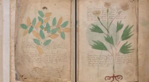 Το μυστήριο του χειρόγραφου Voynich: Το βιβλίο που κανείς δεν κατάφερε να διαβάσει για 500 χρόνια