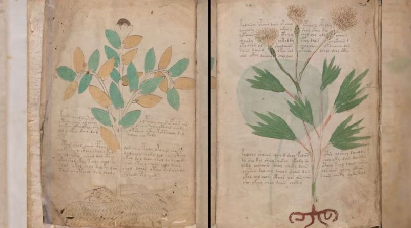 Το μυστήριο του χειρόγραφου Voynich: Το βιβλίο που κανείς δεν κατάφερε να διαβάσει για 500 χρόνια