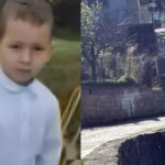 Ανατροπή για τον 3χρονο Αντρέα: Νέα μαρτυρία «δείχνει» βόλτα με γουρούνα και πτώση από μάντρα