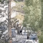 Σπαράζουν καρδιές στα Βορίζια: «Φανούρη, Φανούρη» (video)