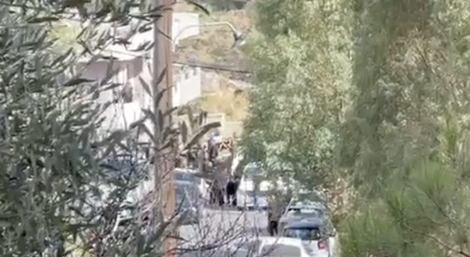 Σπαράζουν καρδιές στα Βορίζια: «Φανούρη, Φανούρη» (video)