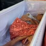 Χαμός σε κηδεία: Η νεκρή χτύπησε το φέρετρο για να βγει!