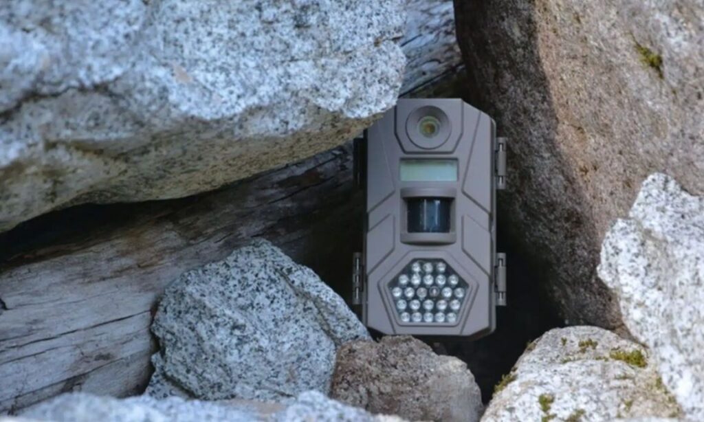 Άφησε μια κάμερα σε μια σπηλιά για 10 χρόνια – Ποτέ δεν περίμενε τι θα καταγράψει
