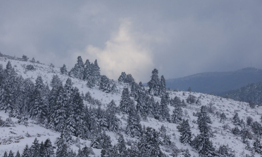 Καιρός: Πότε καταφθάνει στην Ελλάδα η πολική αέρια μάζα