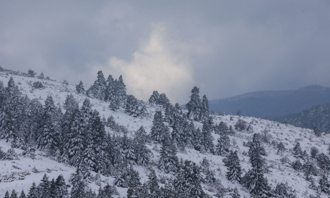 Καιρός: Πότε καταφθάνει στην Ελλάδα η πολική αέρια μάζα