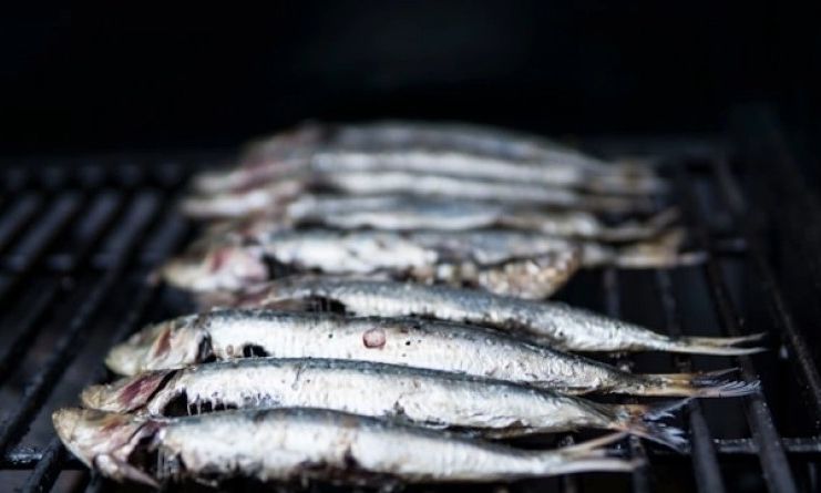 Δεν είναι ο σολομός ούτε ο τόνος: Το ψάρι που έχει περισσότερο ασβέστιο και από το γάλα