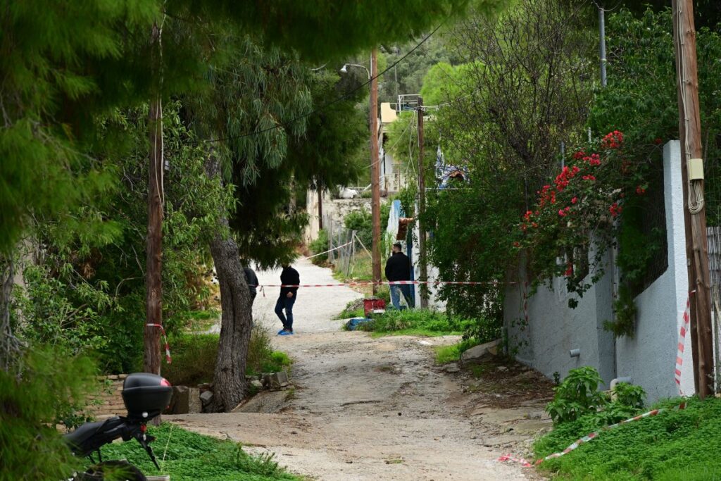 Δικαστήρια Πειραιά: Η 46χρονη που σκότωσε την πεθερά της μπήκε στην ανακρίτρια