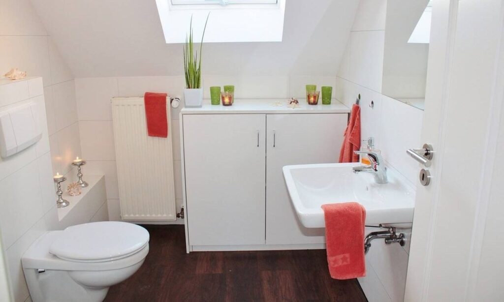 Το μόνο πράγμα που δεν πρέπει να κάνετε στην τουαλέτα