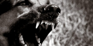 Σε κρίσιμη κατάσταση η 17χρονη στο Άργος που δέχθηκε επίθεση από σκύλους