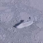 Ένα μυστηριώδες «παγωμένο πλοίο» 120 μέτρων εντόπισε το Google Earth στην Ανταρκτική