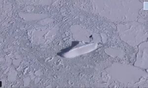 Ένα μυστηριώδες «παγωμένο πλοίο» 120 μέτρων εντόπισε το Google Earth στην Ανταρκτική