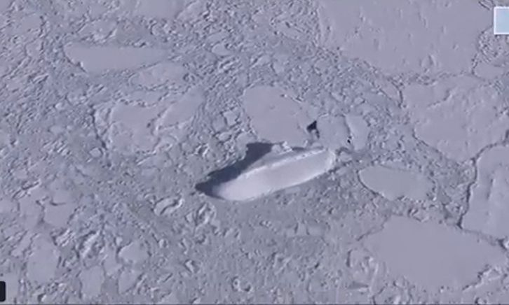 Ένα μυστηριώδες «παγωμένο πλοίο» 120 μέτρων εντόπισε το Google Earth στην Ανταρκτική