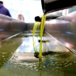 Ελαιόλαδο 2025-2026: Μειωμένη η φετινή παραγωγή κατά 50.000 τόνους – Πώς διαμορφώνονται οι τιμές παραγωγού