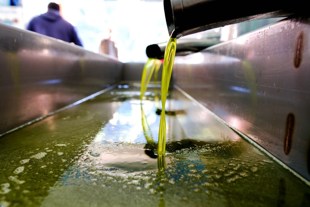 Ελαιόλαδο 2025-2026: Μειωμένη η φετινή παραγωγή κατά 50.000 τόνους – Πώς διαμορφώνονται οι τιμές παραγωγού