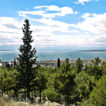 Συναγερμός στη Θεσσαλονίκη για βλήμα στο Σέιχ Σου